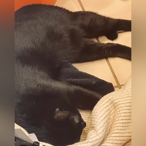 VIDEO! Waylon🤣🔊 - Picture 3 of 5